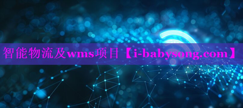 智能物流及wms项目