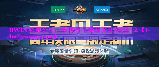 BWIN必赢公司：物联网三端两流分别是什么