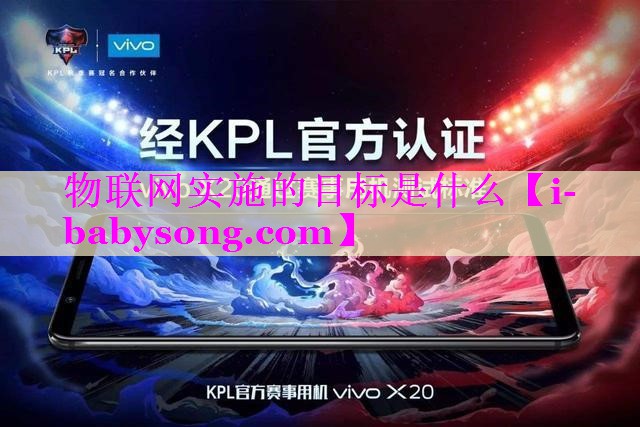 物联网实施的目标是什么
