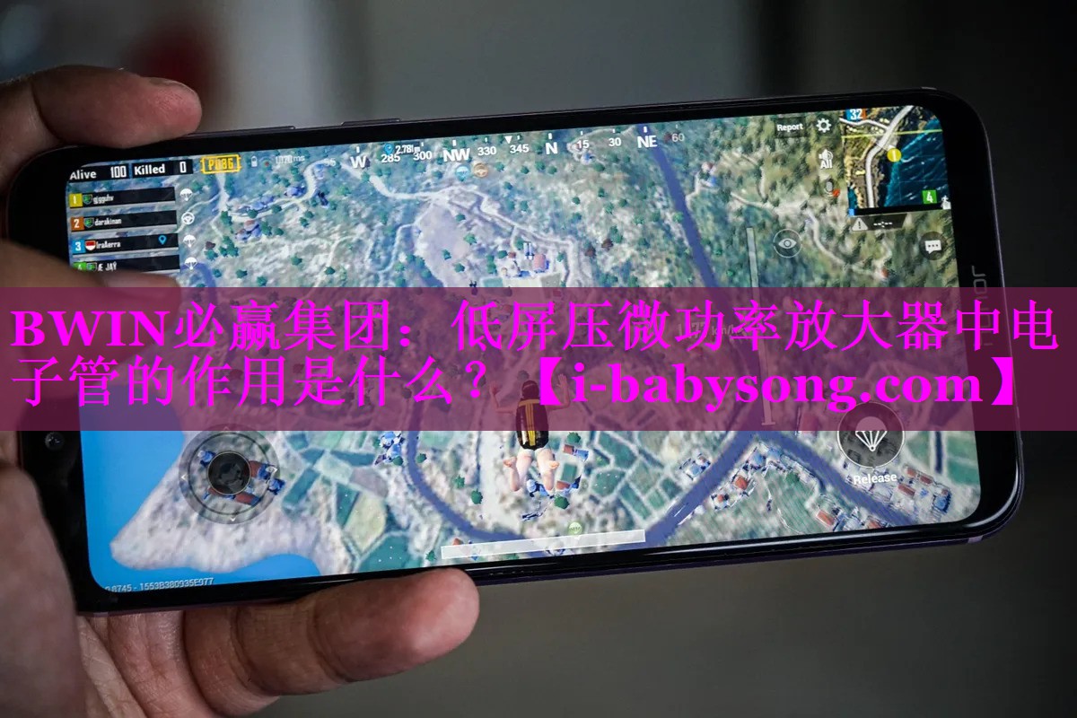 BWIN必赢集团：低屏压微功率放大器中电子管的作用是什么？