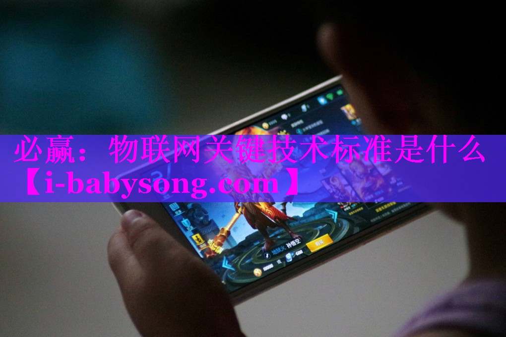 <strong>必赢：物联网关键技术标准是什么</strong>