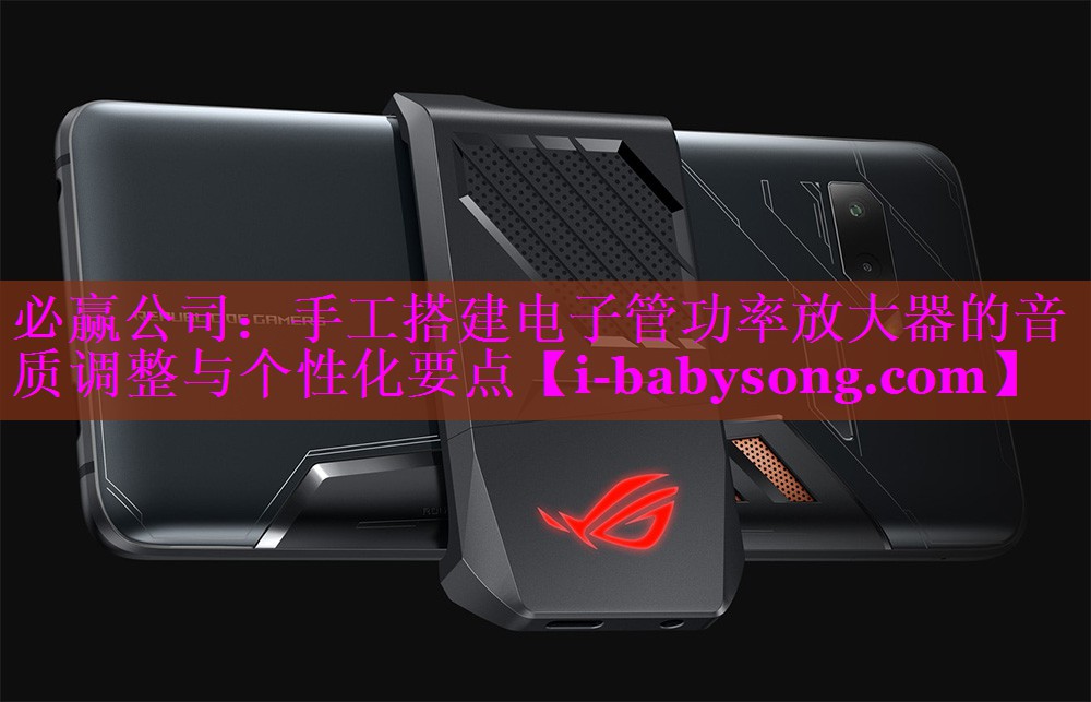 必赢公司：手工搭建电子管功率放大器的音质调整与个性化要点