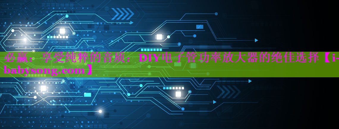 享受纯粹的音质：DIY电子管功率放大器的绝佳选择