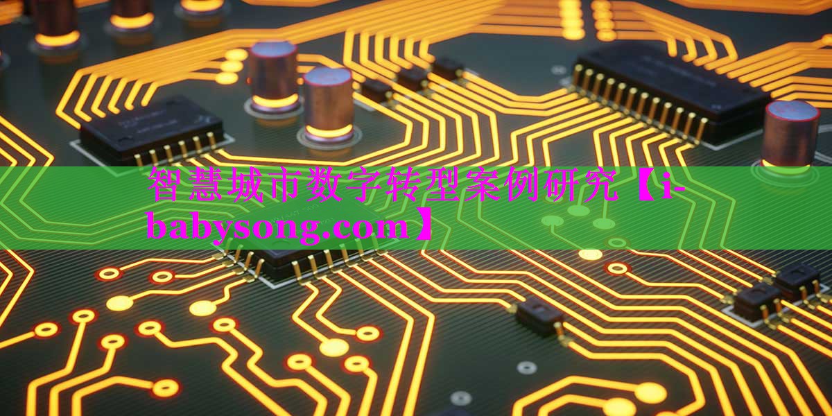 智慧城市数字转型案例研究 智慧城市数字转型案例研究