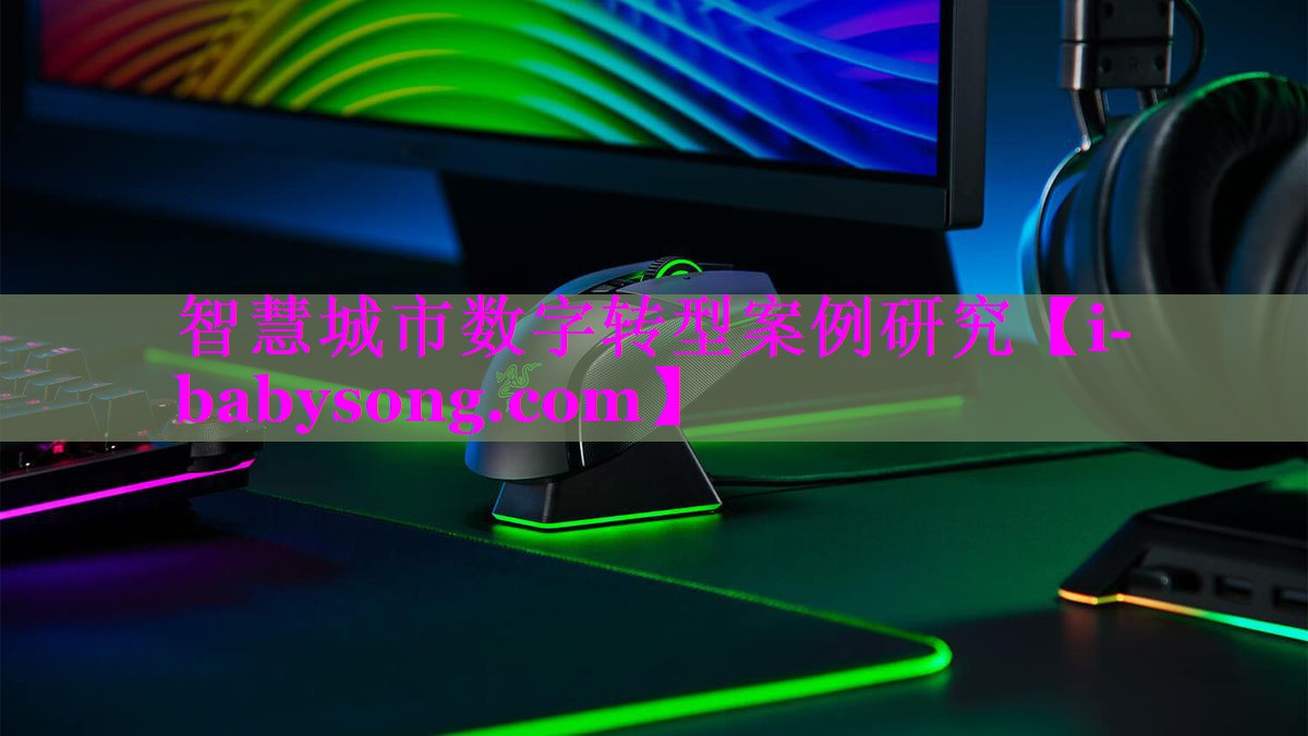 智慧城市数字转型案例研究 智慧城市数字转型案例研究